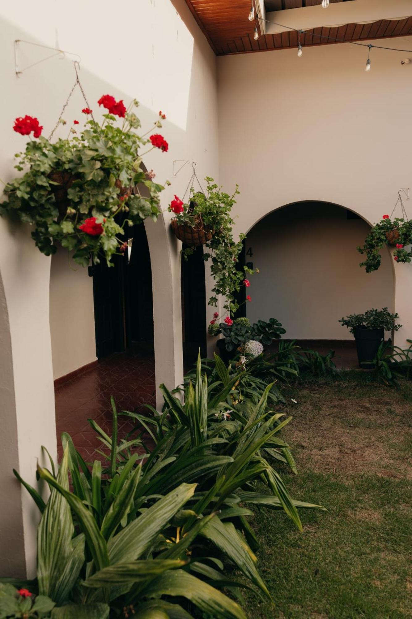 Hotel Boutique Rebequet Boquete Buitenkant foto